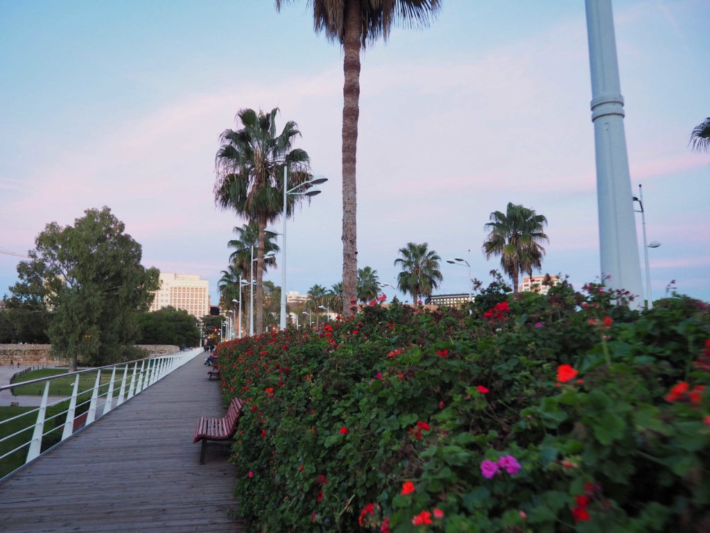 ponts des fleurs valencia