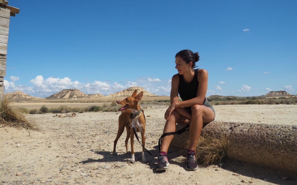 navarre avec chien dante désert bardenas reales