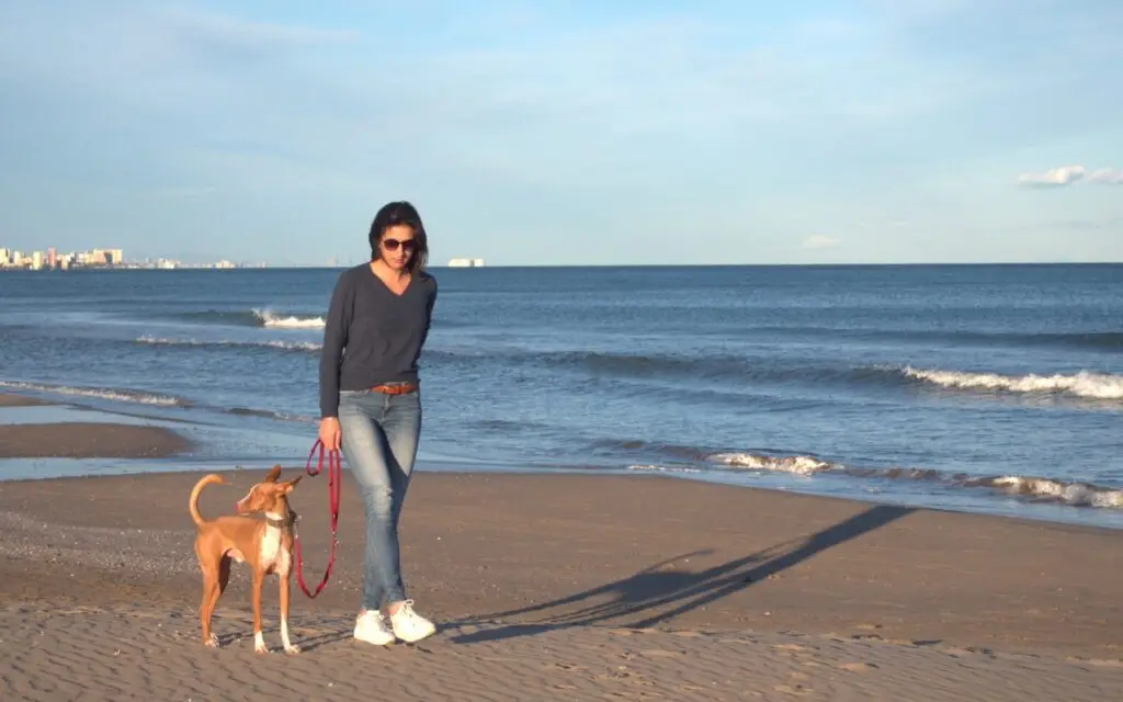 voyager avec son chien en Espagne