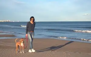voyager avec son chien en Espagne