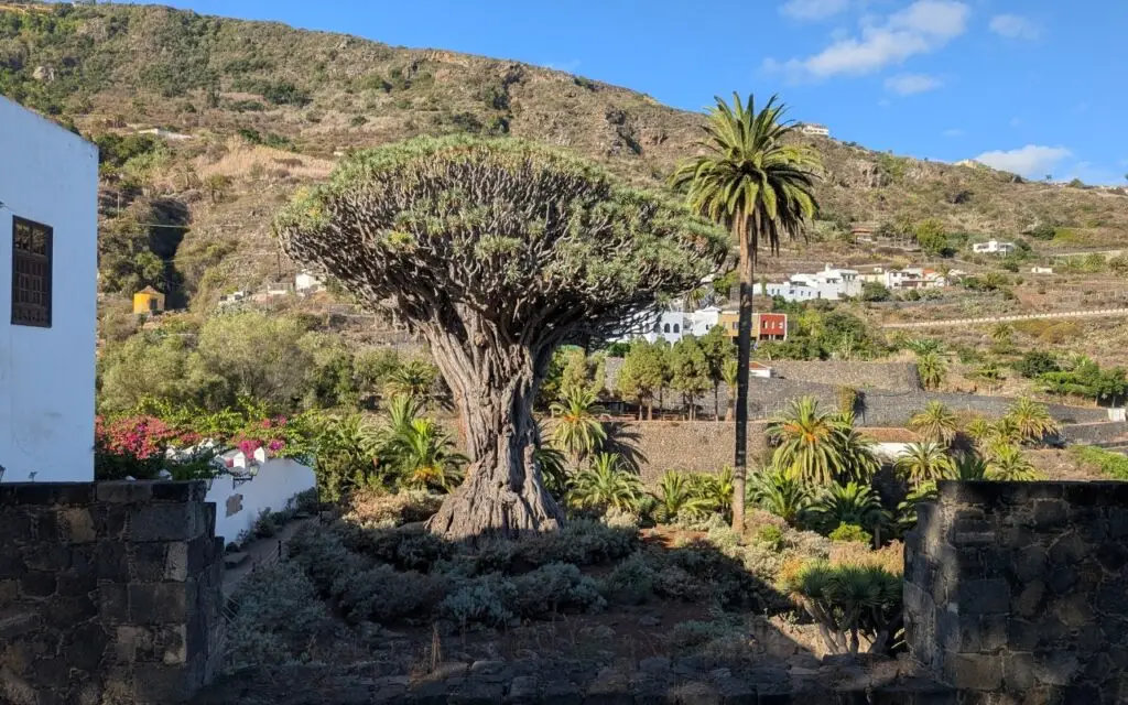 cout de la vie en espagne tenerife 2026
