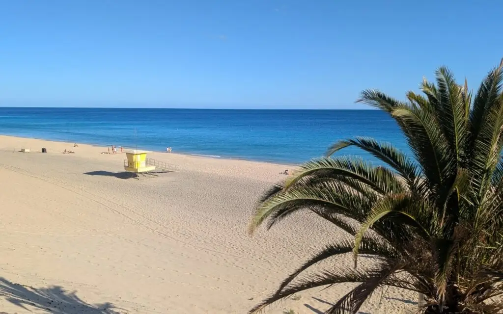 Retour d'expérience sur mon voyage seule à Fuerteventura et mes coups de coeur du voyage !