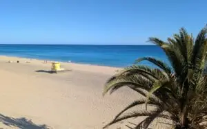 Retour d'expérience sur mon voyage seule à Fuerteventura et mes coups de coeur du voyage !